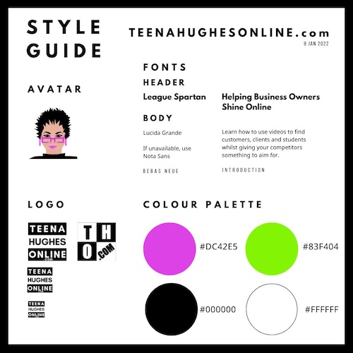 Style and Font Guide Brand Kit example